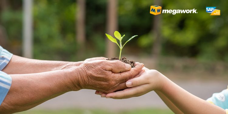 Imagem das mãos de uma pessoa aparentemente mais velha, entregando uma muda de planta para as mãos de uma pessoa mais nova. No canto superior direito da imagem, localizamos o logo da Megawork Gold Partner SAP.